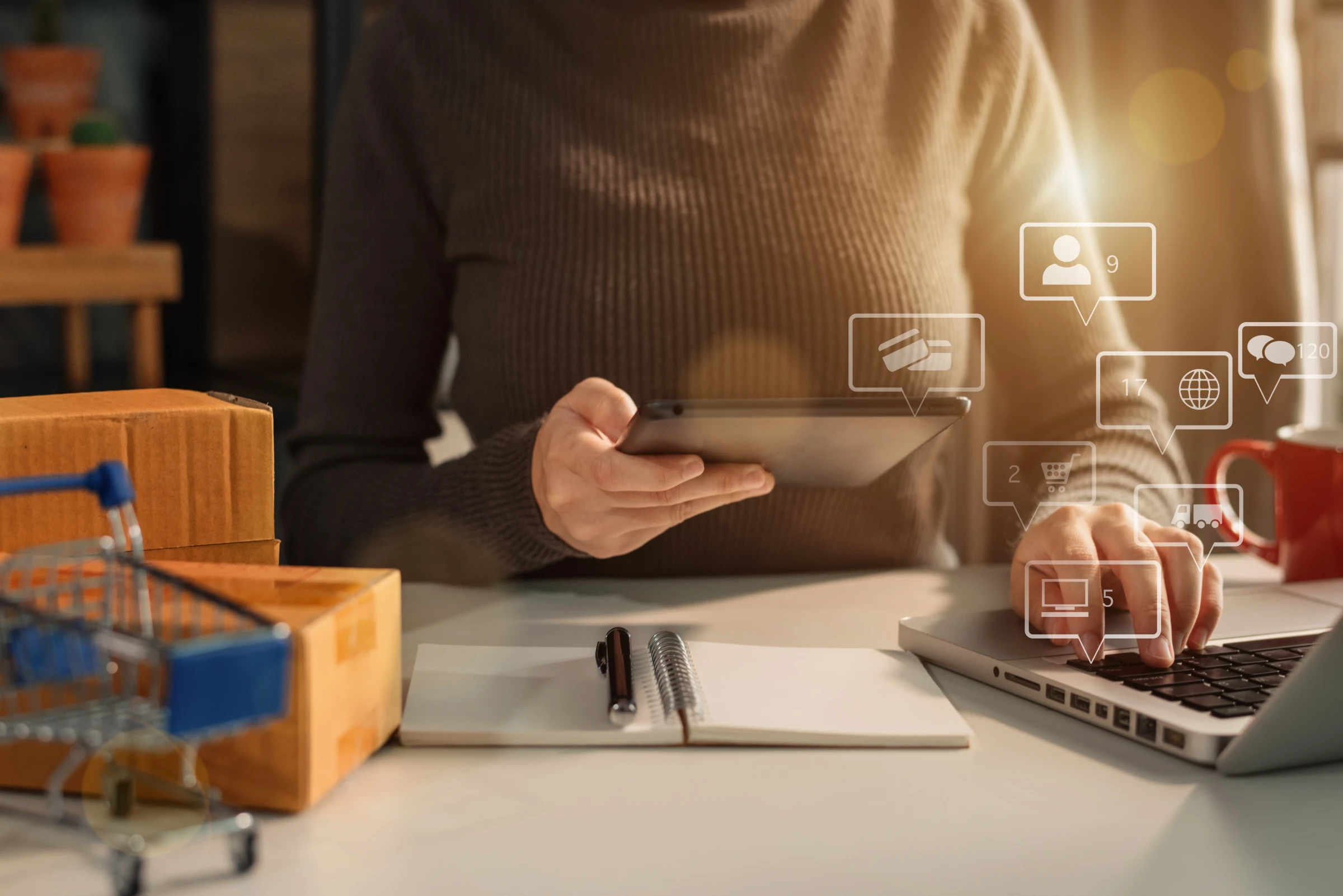 Why You Need an E-Commerce Consultant Today Why You Need an E-Commerce Consultant Today