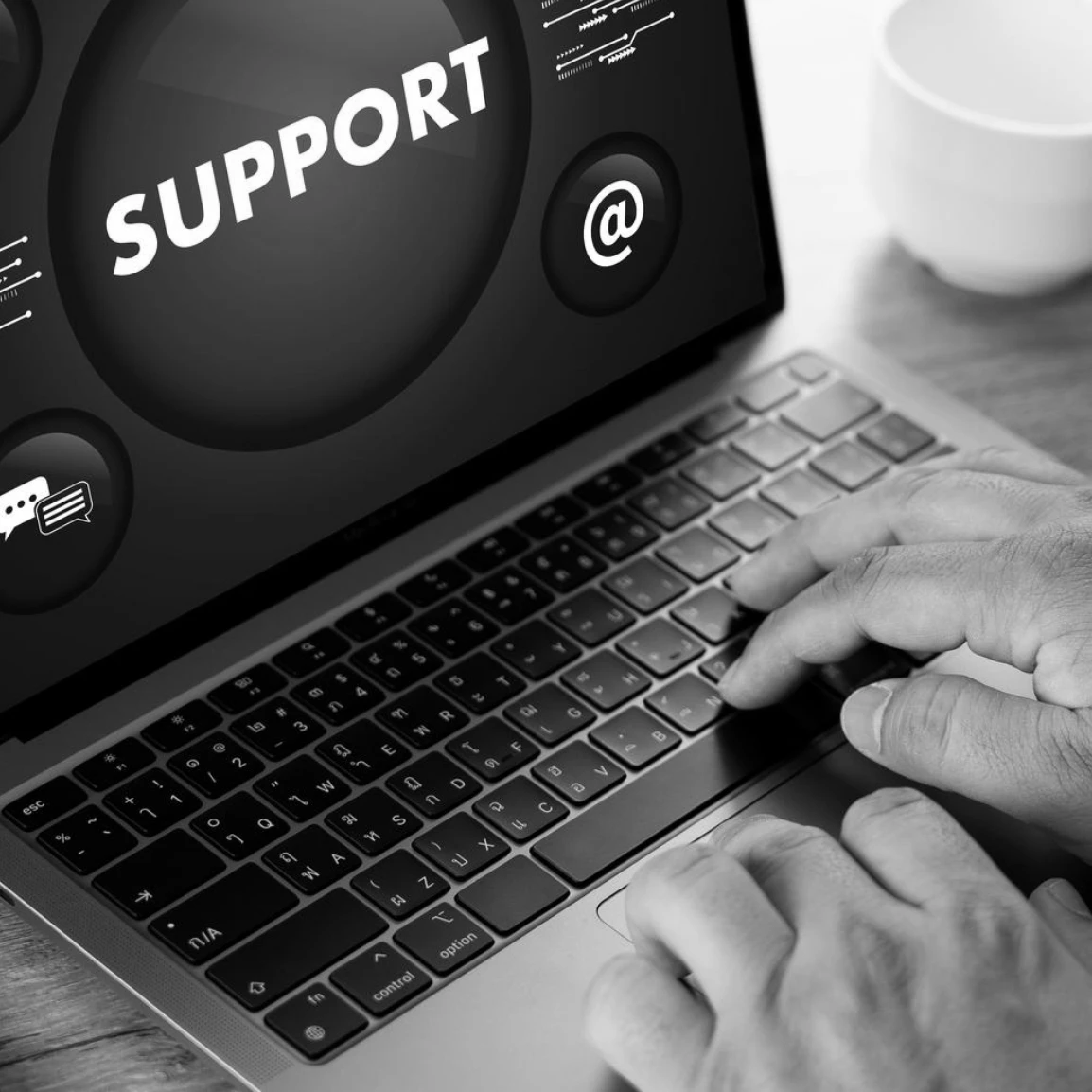 Maintenance and Support