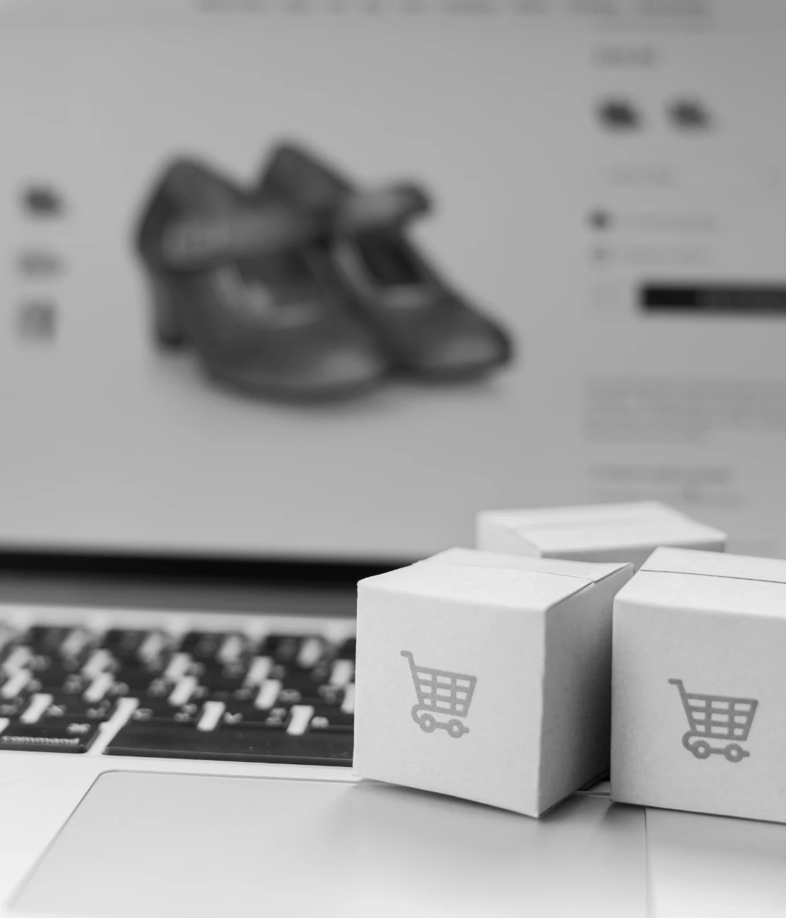 Online Store Management  showcase